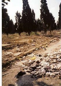 ORAN 10 2005 068 CIMETIERE DE TAMAZHOUET PRES D UN MUR